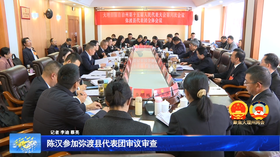 陈汉参加弥渡县代表团审议审查