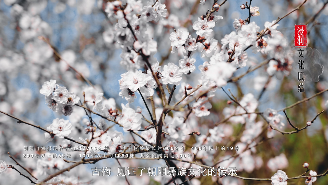 最美乡村之—祥云朝阳村