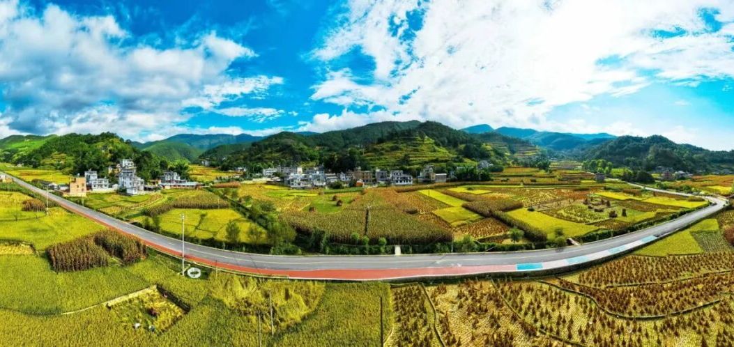 “迎新春、护归途”共护农村公路安全畅通倡议书