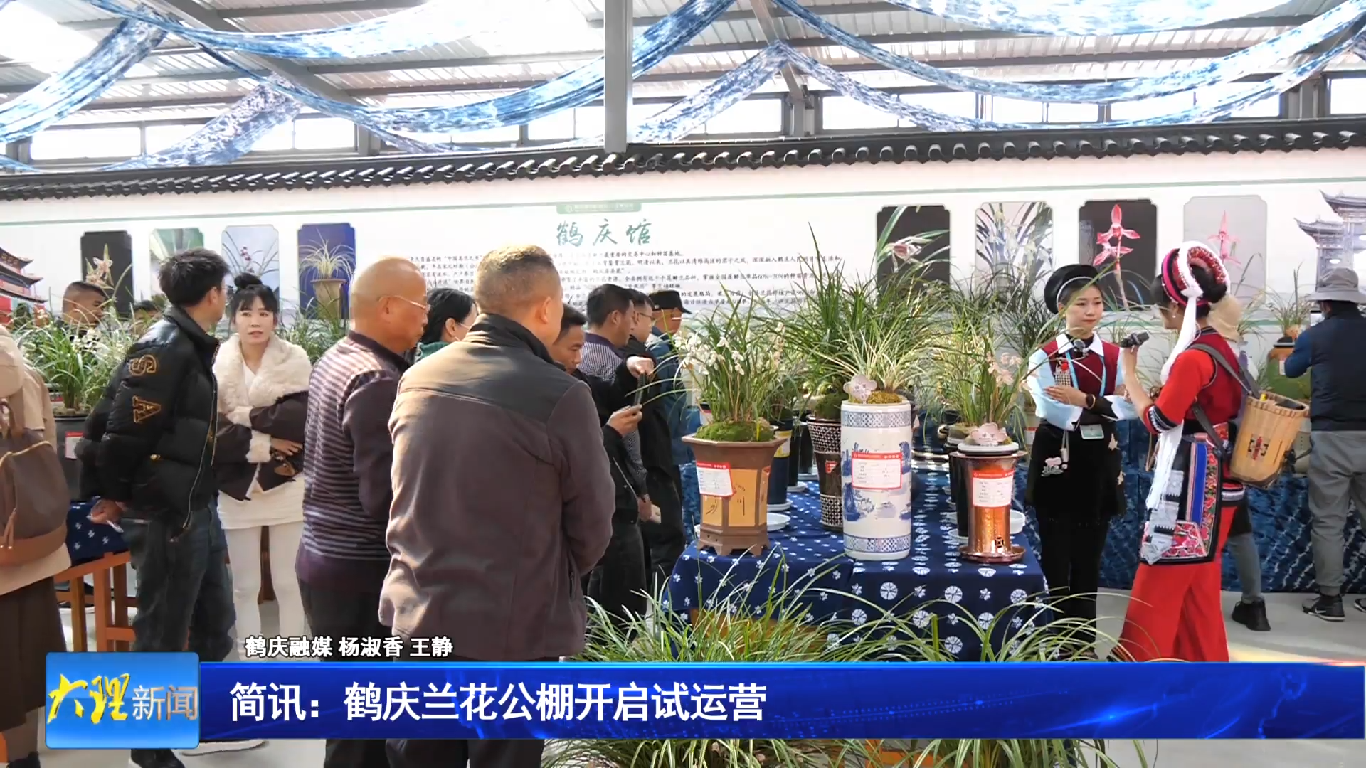 鹤庆兰花公棚开启试运营