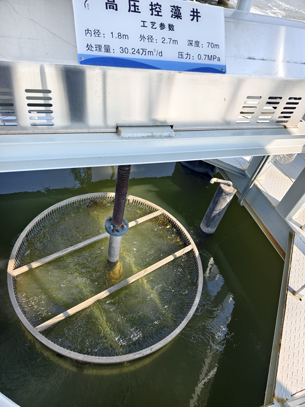 新春走基层|山朝水朝,不如人来朝——异龙湖畔感受高原湖泊治污成果 新春走基层|山朝水朝,不如人来朝——异龙湖畔感受高原湖泊治污成果