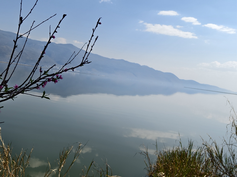 新春走基层|山朝水朝,不如人来朝——异龙湖畔感受高原湖泊治污成果 新春走基层|山朝水朝,不如人来朝——异龙湖畔感受高原湖泊治污成果