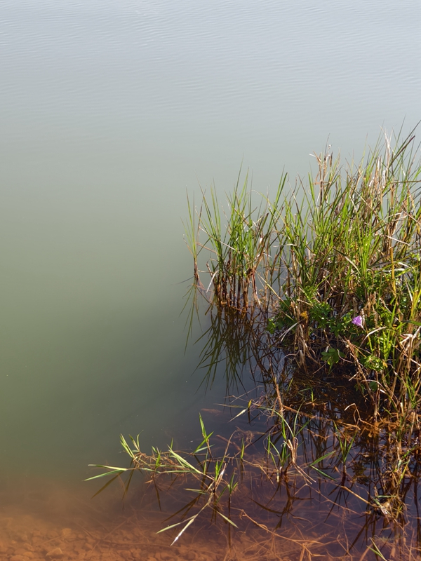 新春走基层|山朝水朝,不如人来朝——异龙湖畔感受高原湖泊治污成果 新春走基层|山朝水朝,不如人来朝——异龙湖畔感受高原湖泊治污成果