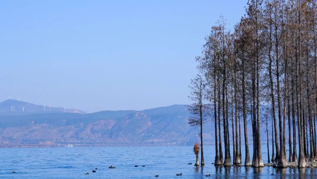 过大年 游大理丨6个人少景美的好去处