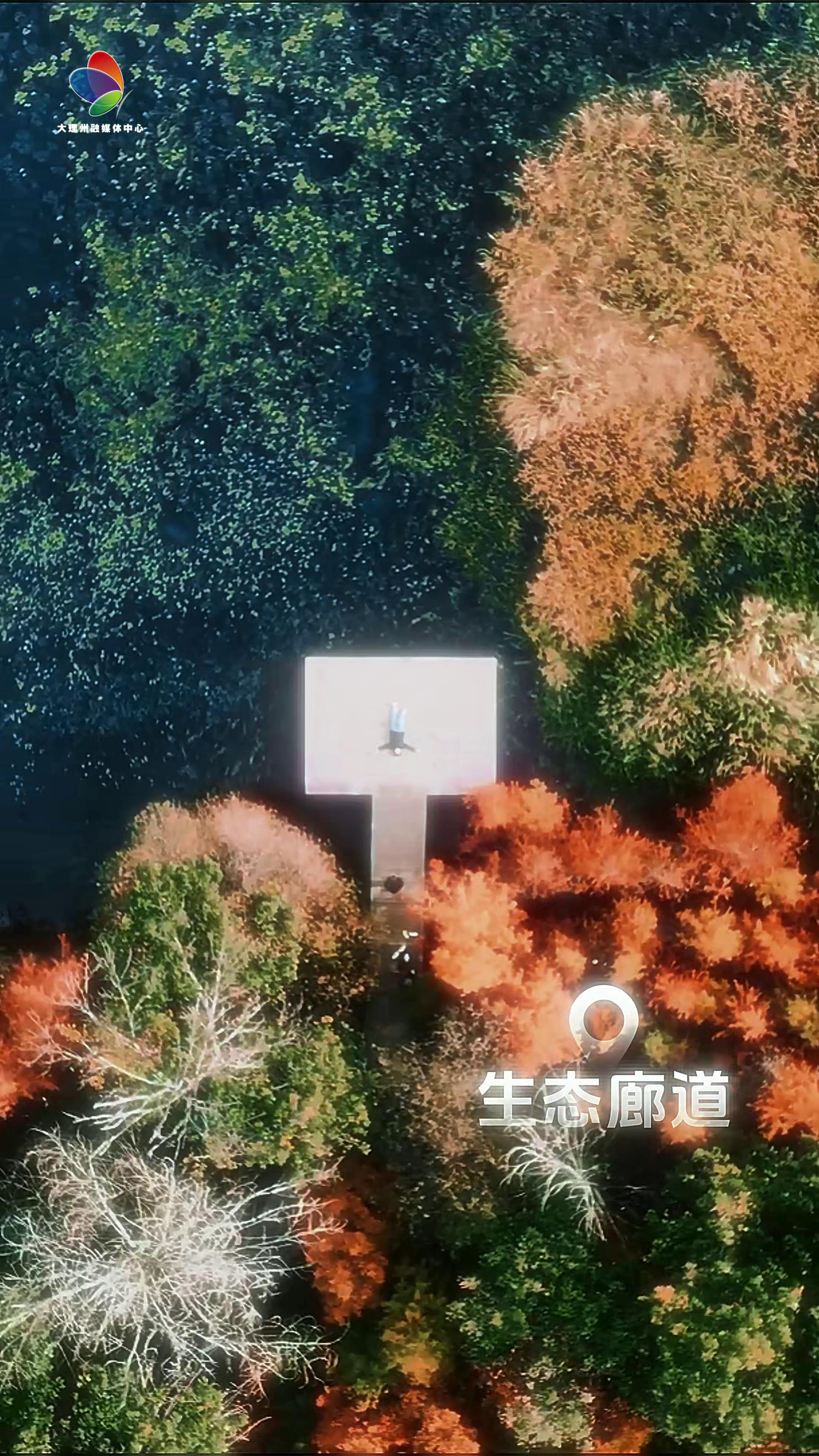 接下来的大理是一万次的春和景明#在大理爱上生活#春天