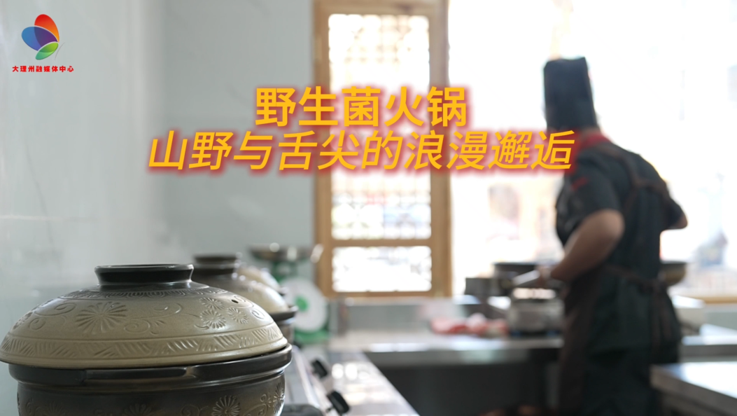 野生菌火锅：山野与舌尖的浪漫邂逅#在大理爱上生活#舌尖上的大理#年味