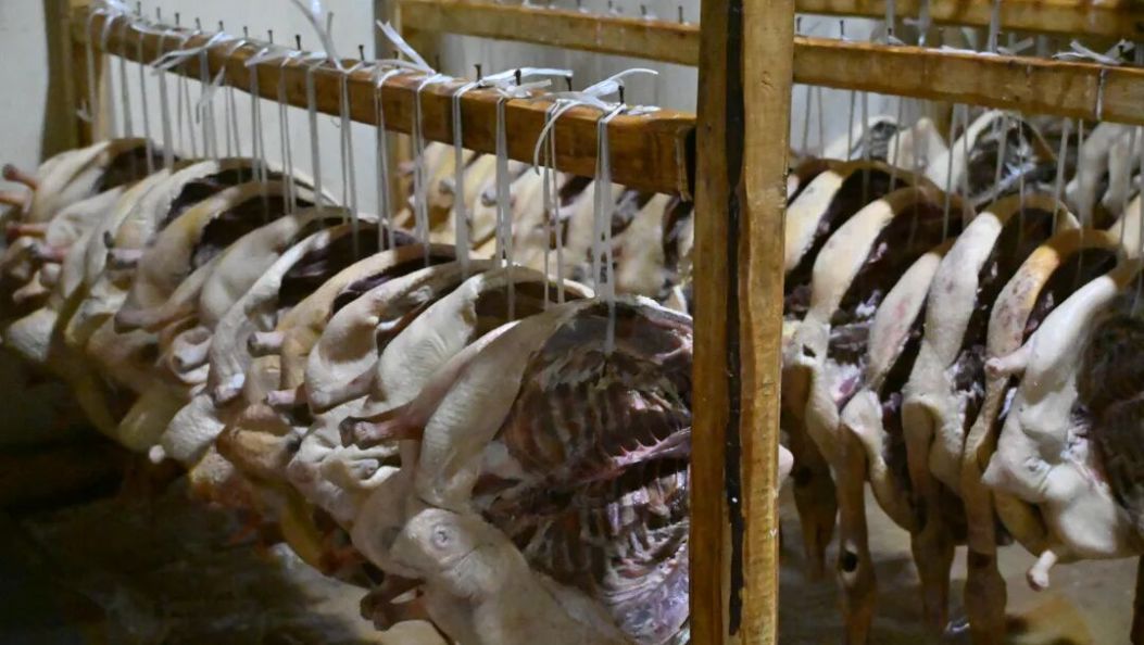 新春走基层｜永平腊鹅：腊香传匠心 此味是乡愁