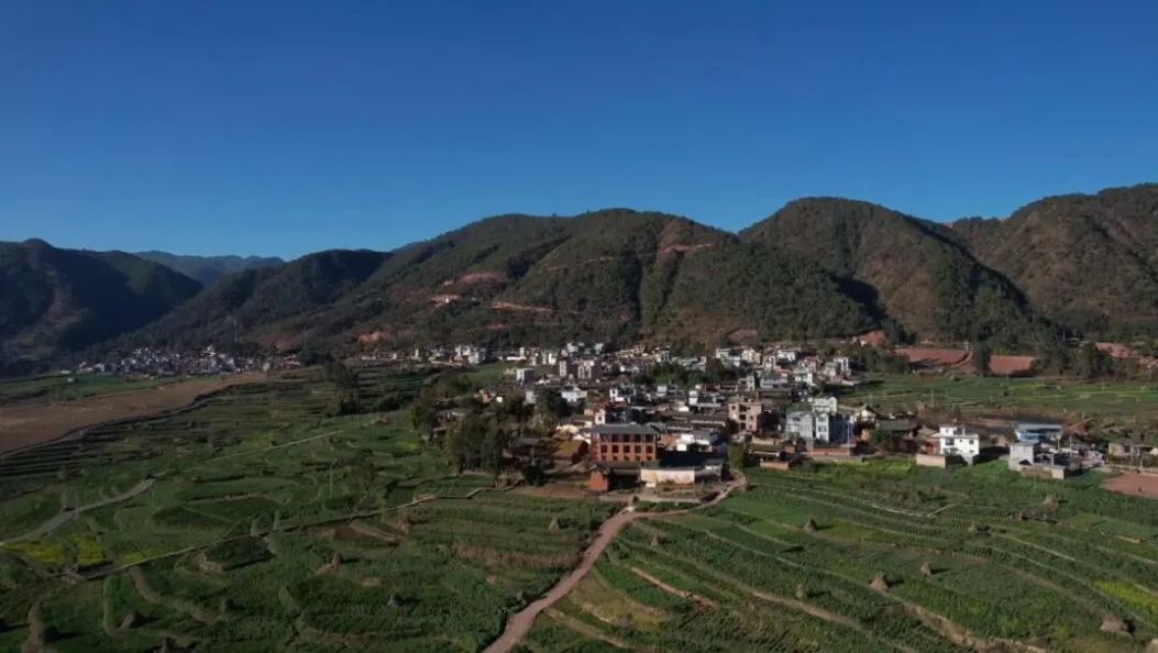 这就是向往的旅居生活！大理这个小村庄，把日子过成了诗