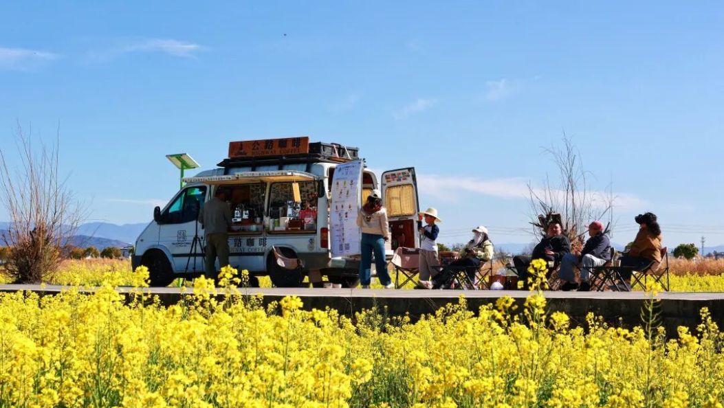 被大理的春天硬控了！是花海，是仙境，是一眼就沦陷的金色梦境~