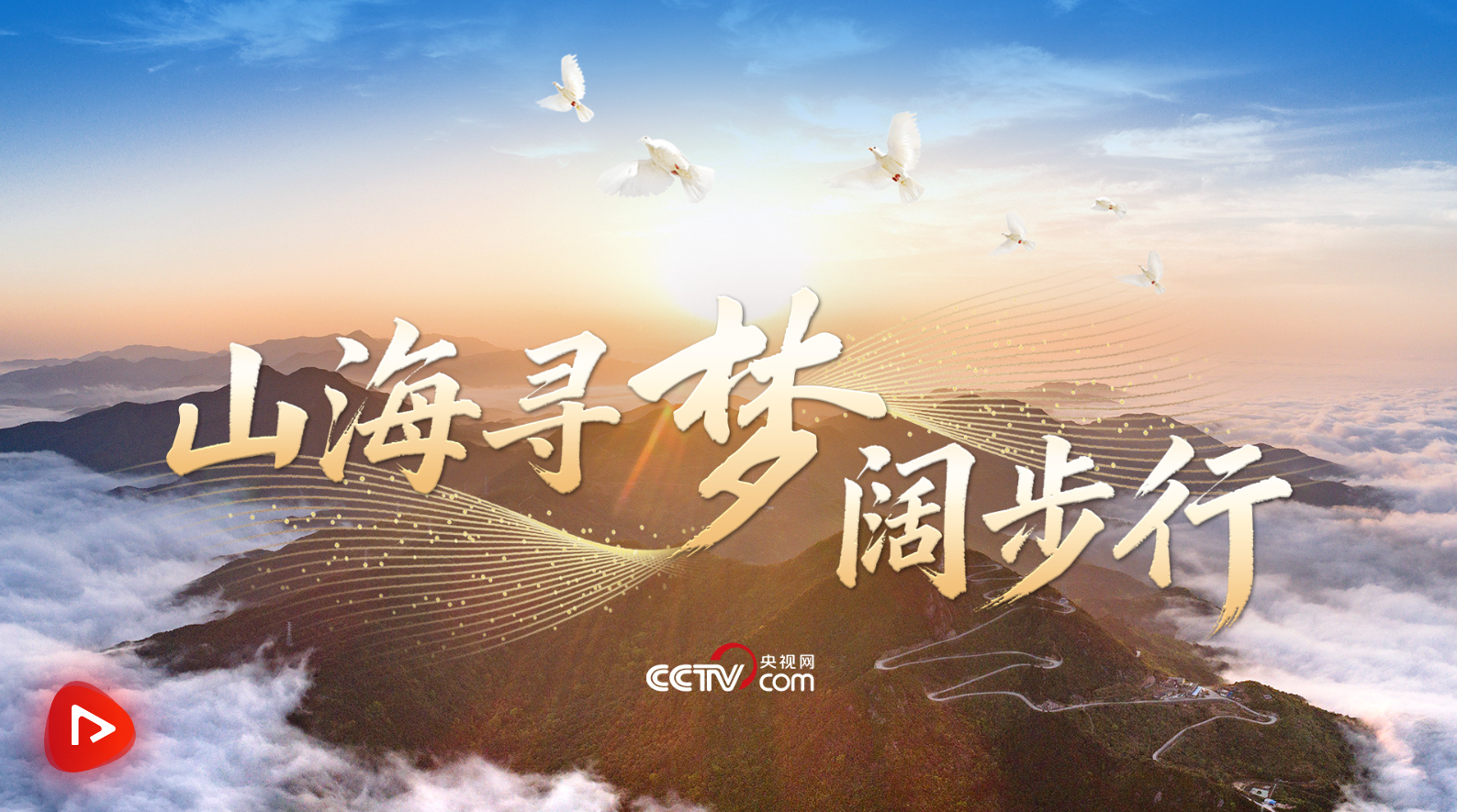 1772542816572019.png image.png