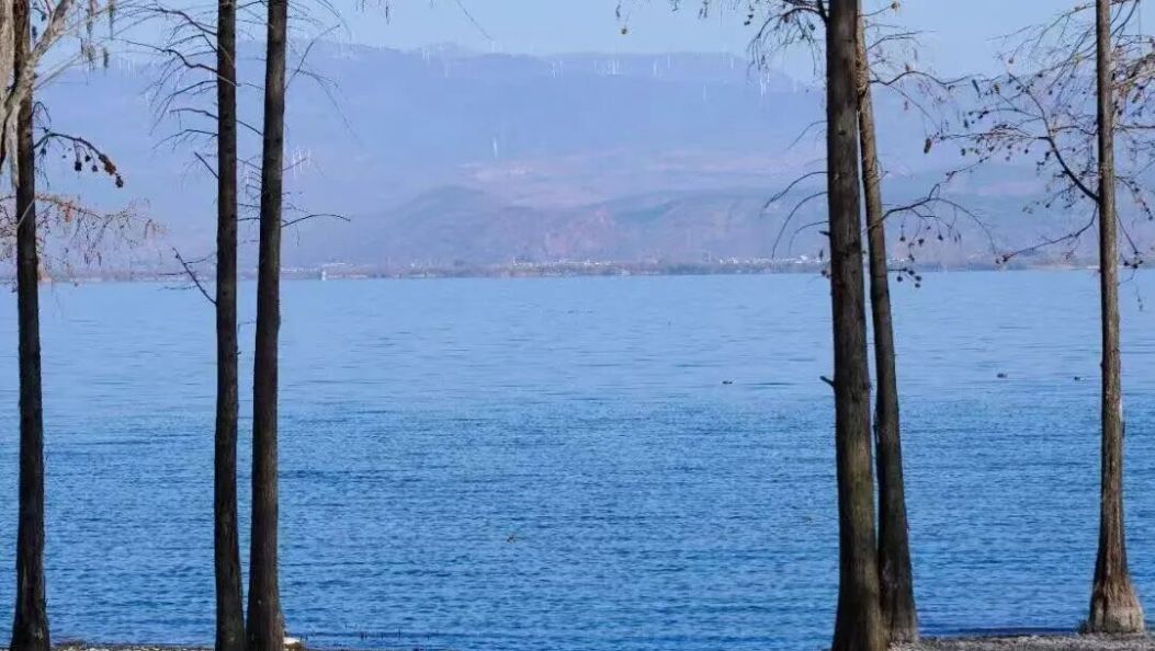 大理州负氧离子浓度、环境空气质量及洱海指数情况