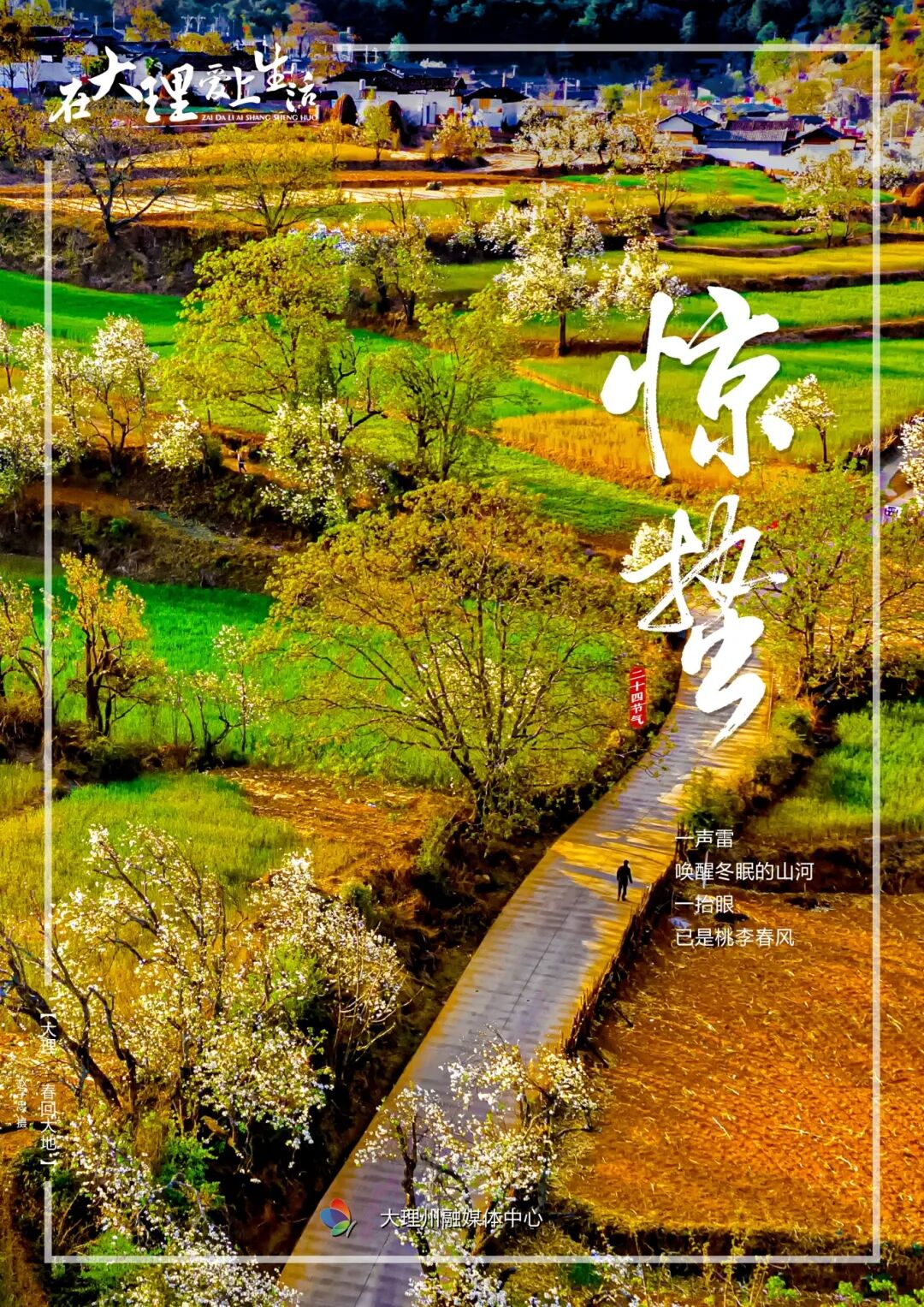 惊蛰风起，苍洱春归 | 在大理爱上生活