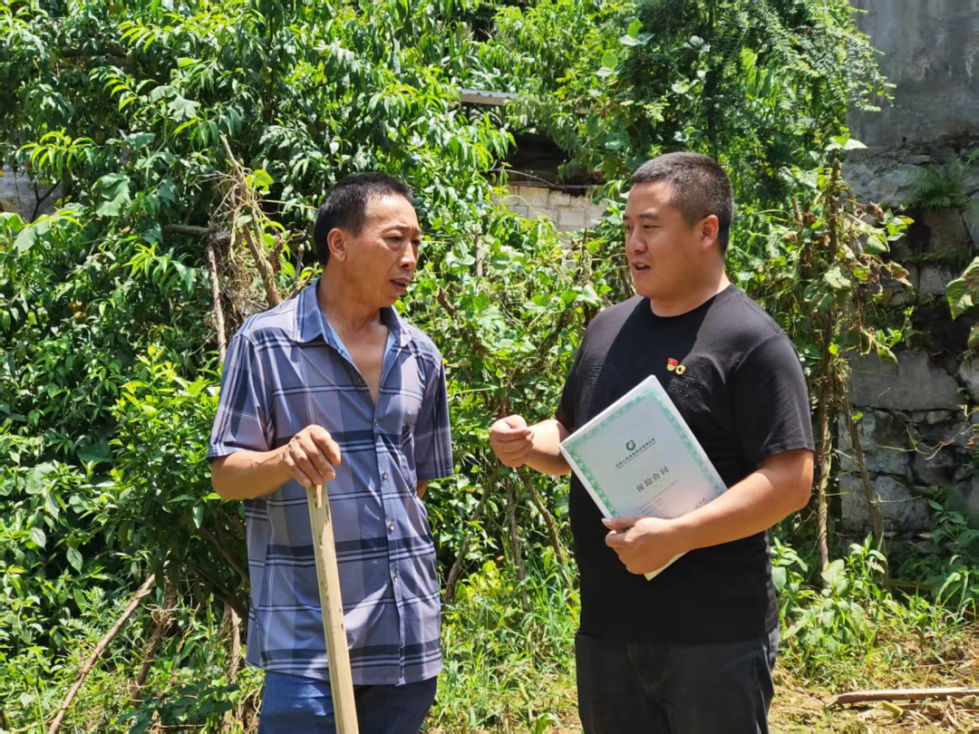 中国人寿：一张保单暖乡邻