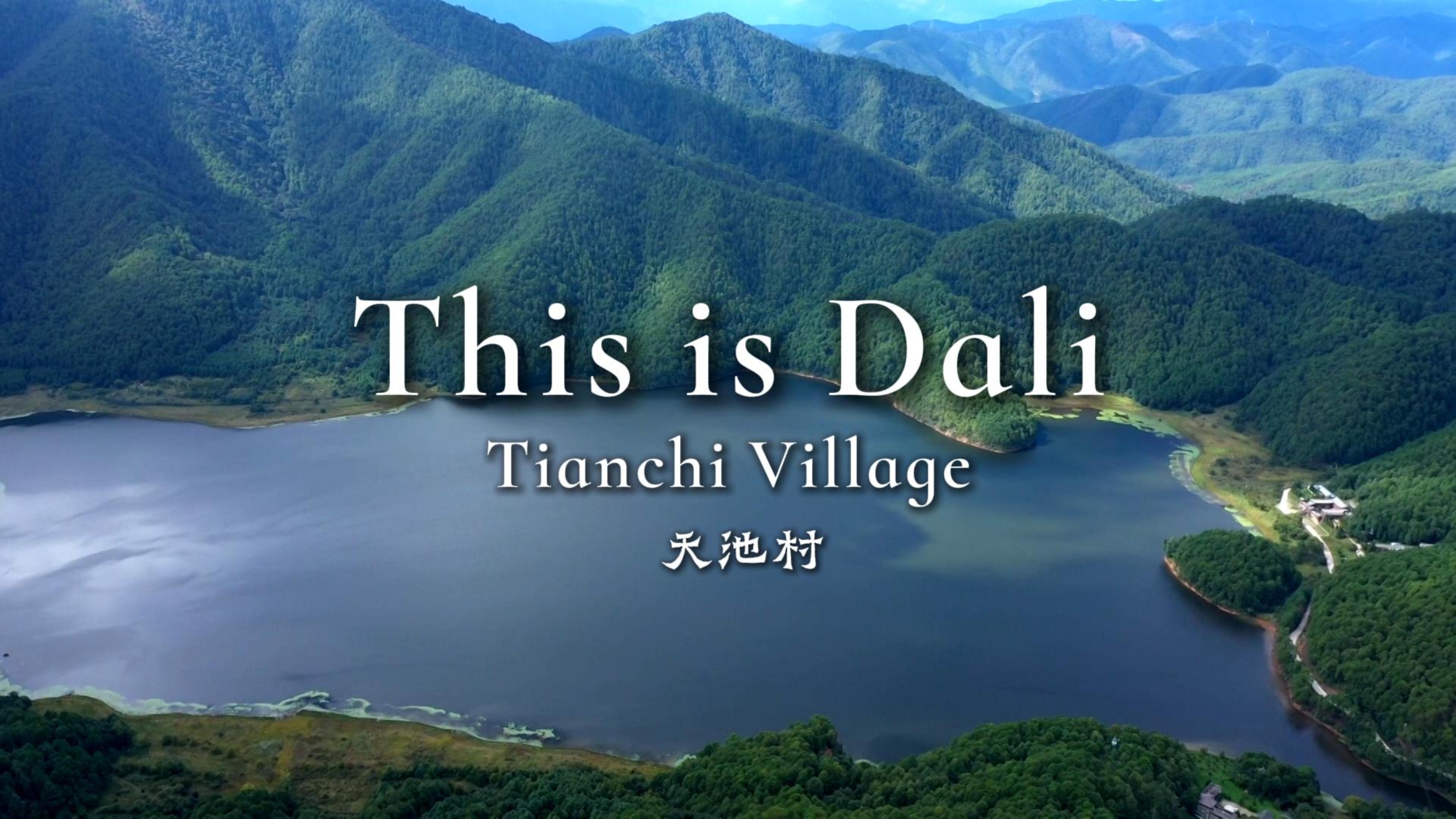 #ThisisDali  大理云龙天池村：梨园云海间的生态画卷 #这里是大理 #人类心灵栖居地大理