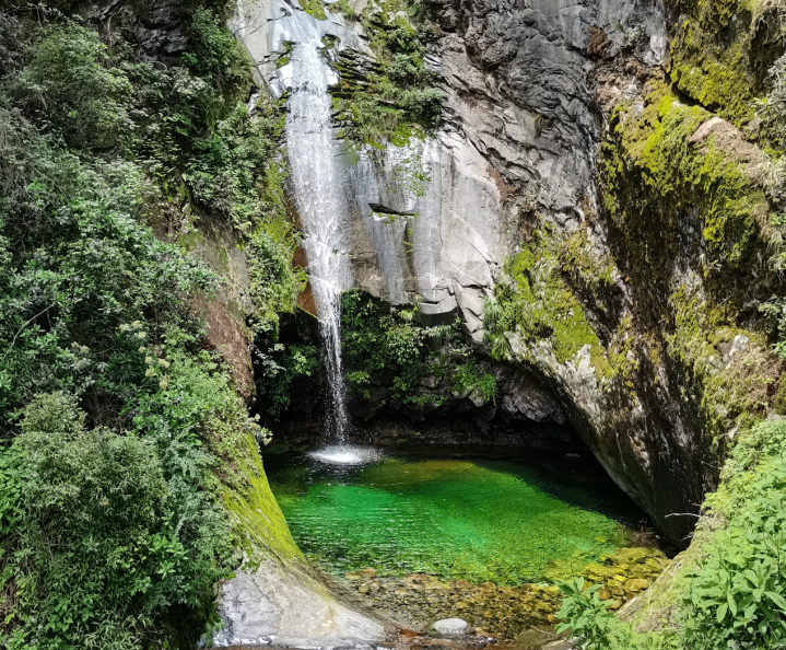 大理苍山发现2个新物种，以“雨水”“夏至”命名！