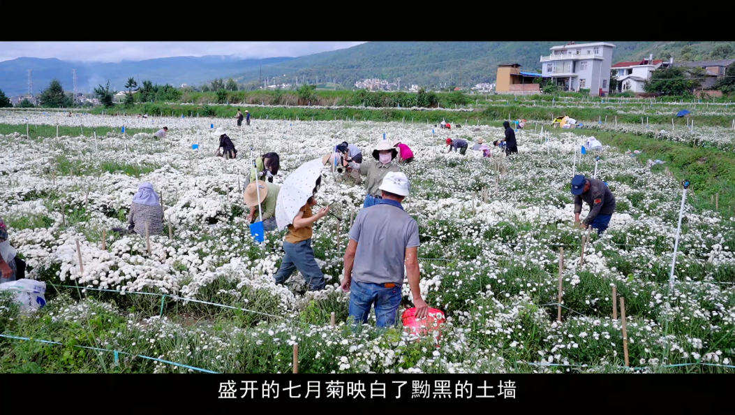 最美乡村之—弥渡大营村（古城村）