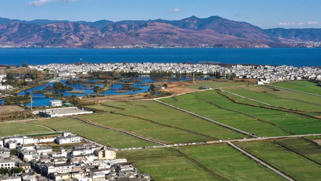 大理州负氧离子浓度、环境空气质量及洱海指数情况