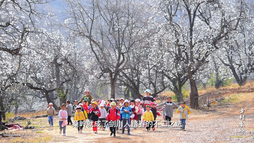 最美乡村之—剑川桑岭村