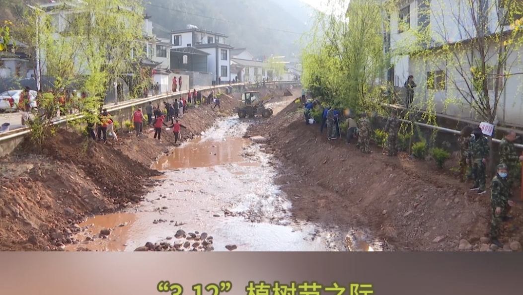 你我共参与 家园添新绿话题#绿美城乡 #在大理爱上生活 #植树节 