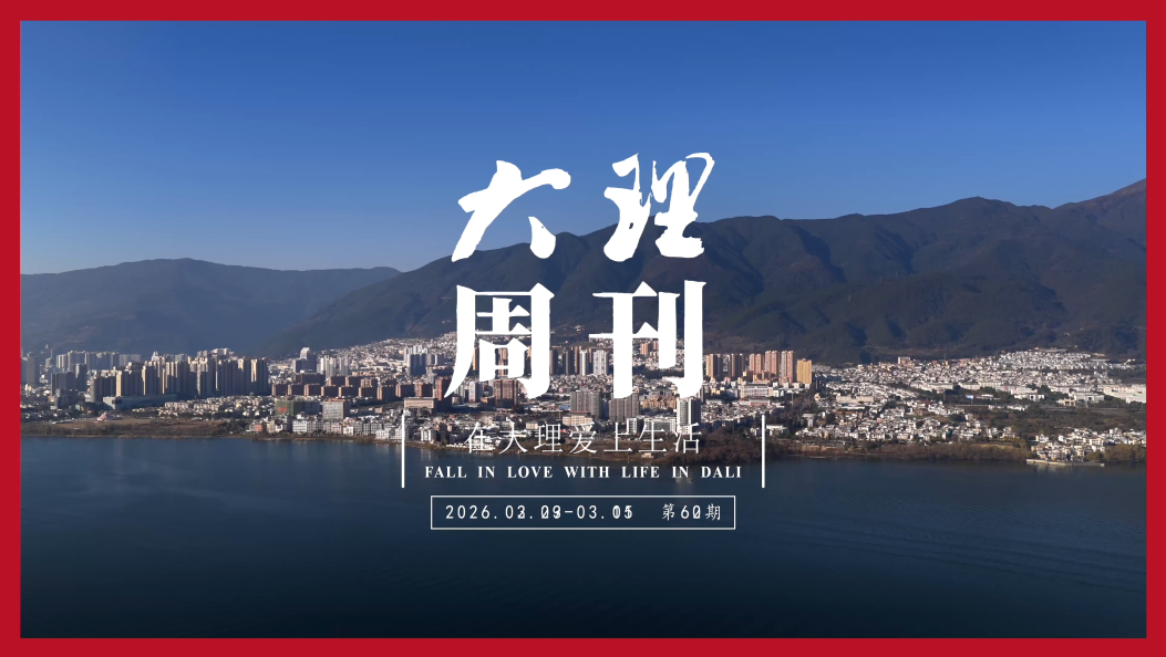 《大理周刊》第62期 #在大理爱上生活 #大理周刊
