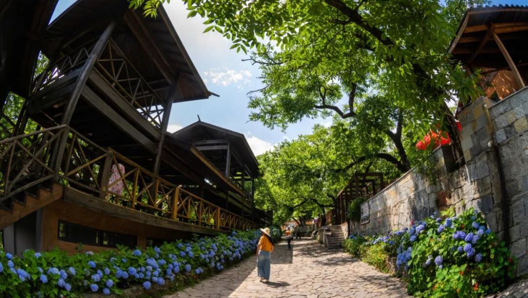 这个“云上村庄”，你去过了吗？