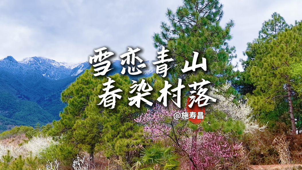 雪恋青山 春染村落：剑川雪邦山下，一幅雪山为幕、村落为诗的绝美春日画卷！#在大理爱上生活 #雪邦山 #春日美景 #乡村美景