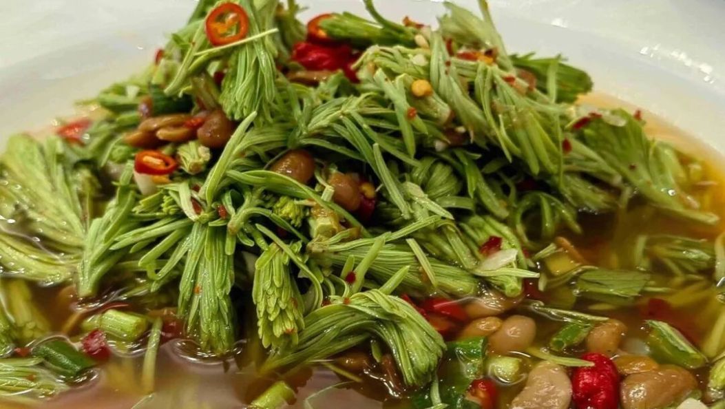 彝山凉拌珍味，藏在山野间的清爽本味