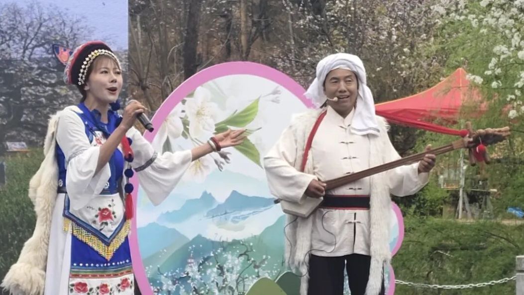 梨花开了！鹤庆奇峰梨花文化旅游季今日启幕，快来共赴春日花海之约~