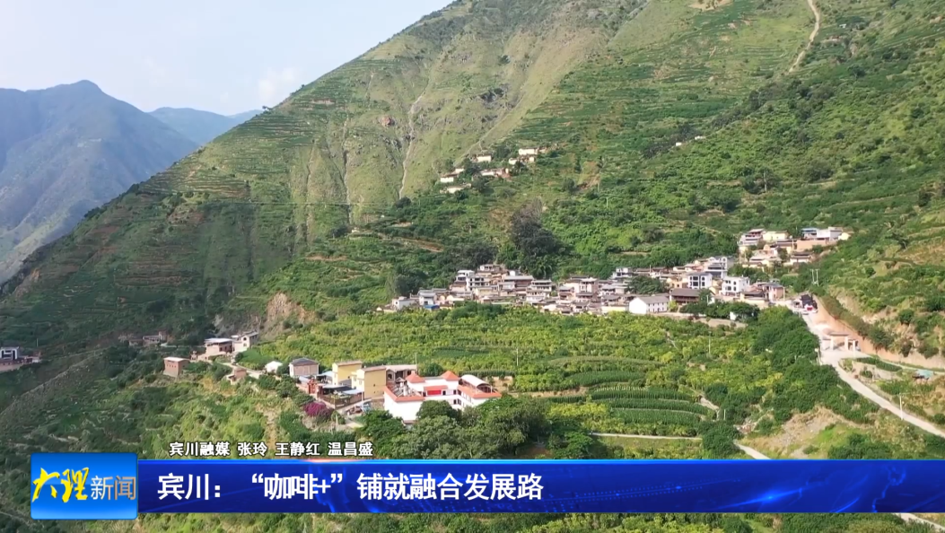  宾川：“咖啡+”铺就融合发展路