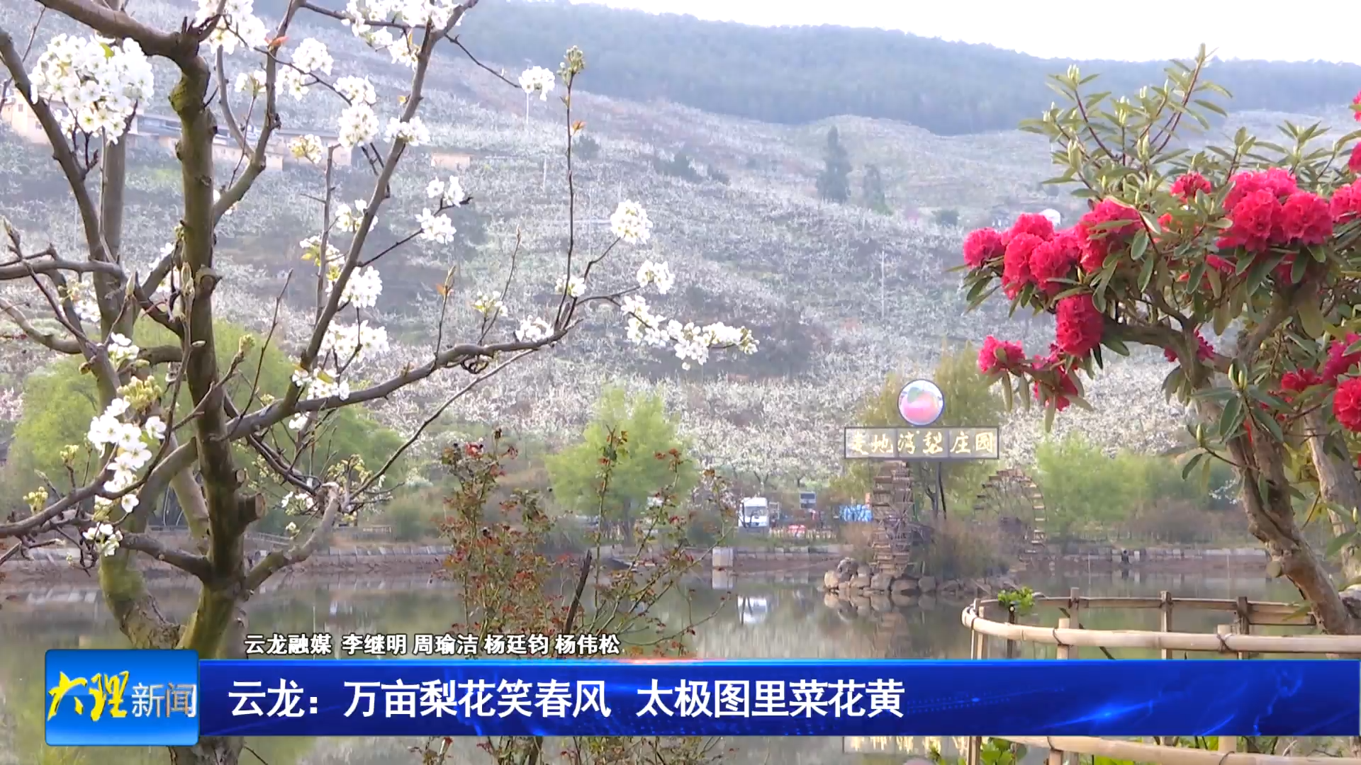 云龙：万亩梨花笑春风 太极图里菜花黄