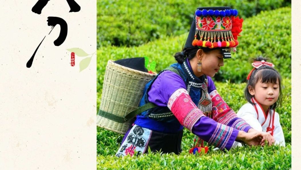 今日春分：春意萌动，万物更生 | 在大理爱上生活