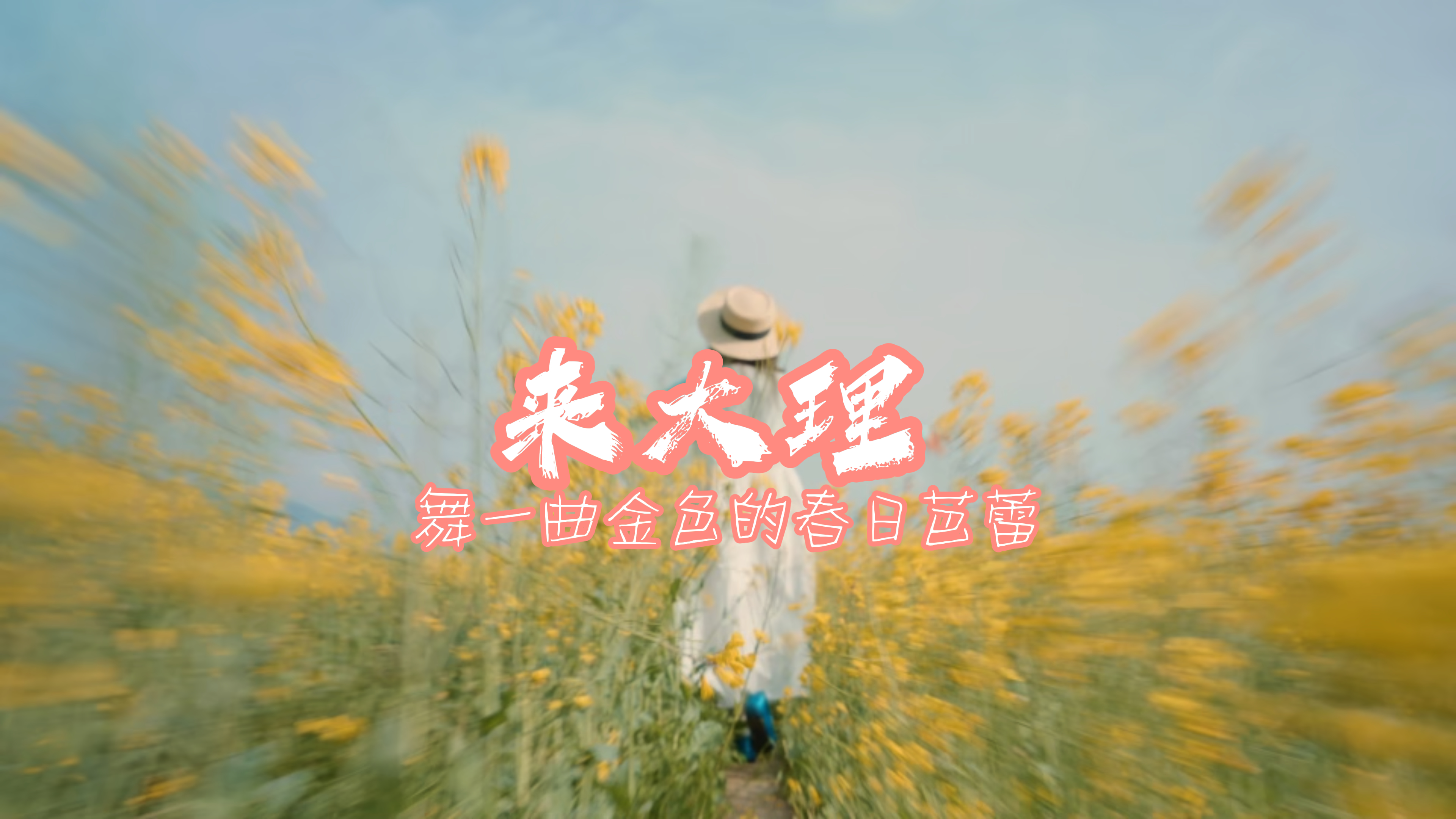 #在大理爱上生活  来大理，舞一曲金色的春日芭蕾  #这里是大理 #人类心灵栖居地大理