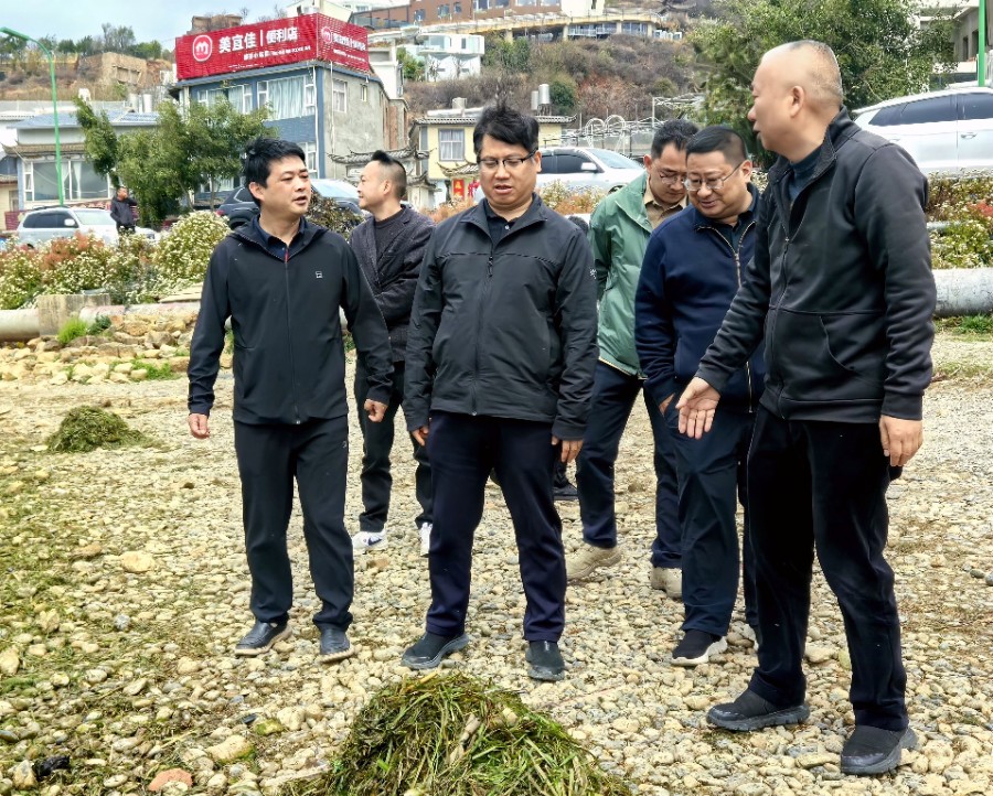 陈真永检查洱海流域初期雨水防控“八清”、湖滨带清理保洁等工作落实情况_proc_副本.jpg