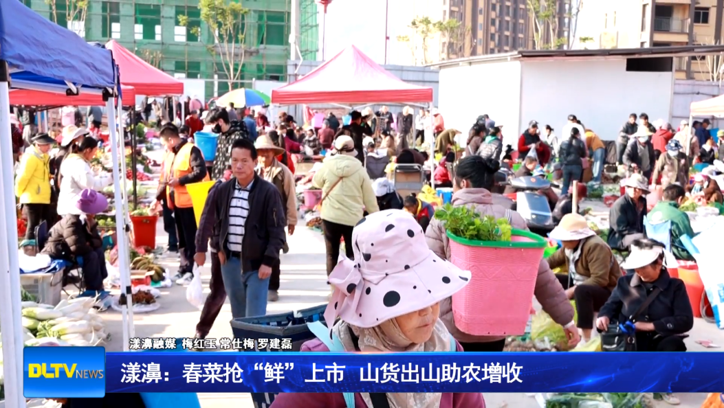 漾濞：春菜抢“鲜”上市 山货出山助农增收
