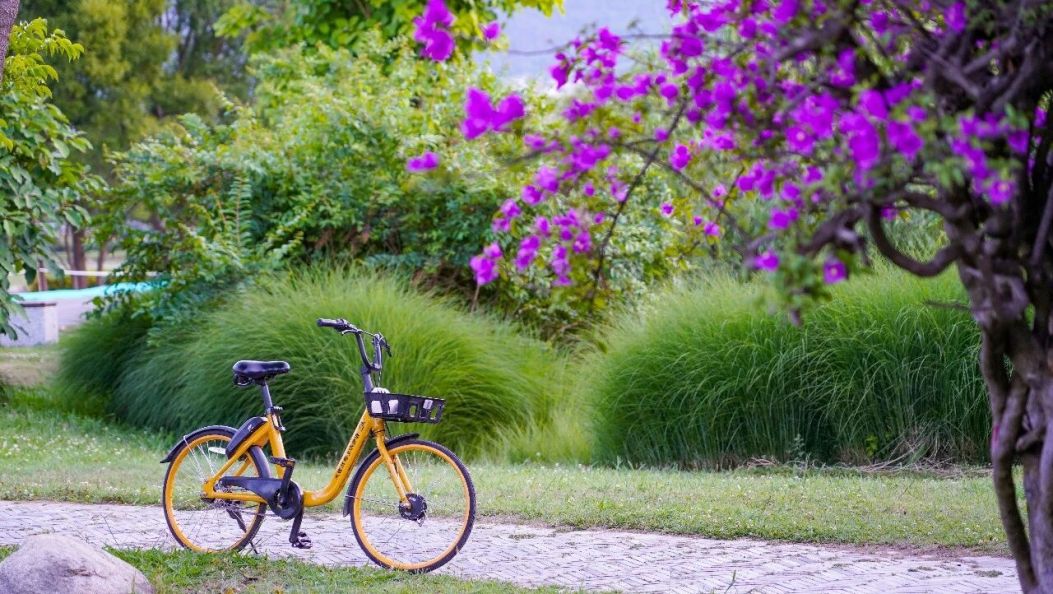 春风入大理，这10件事不负好春光