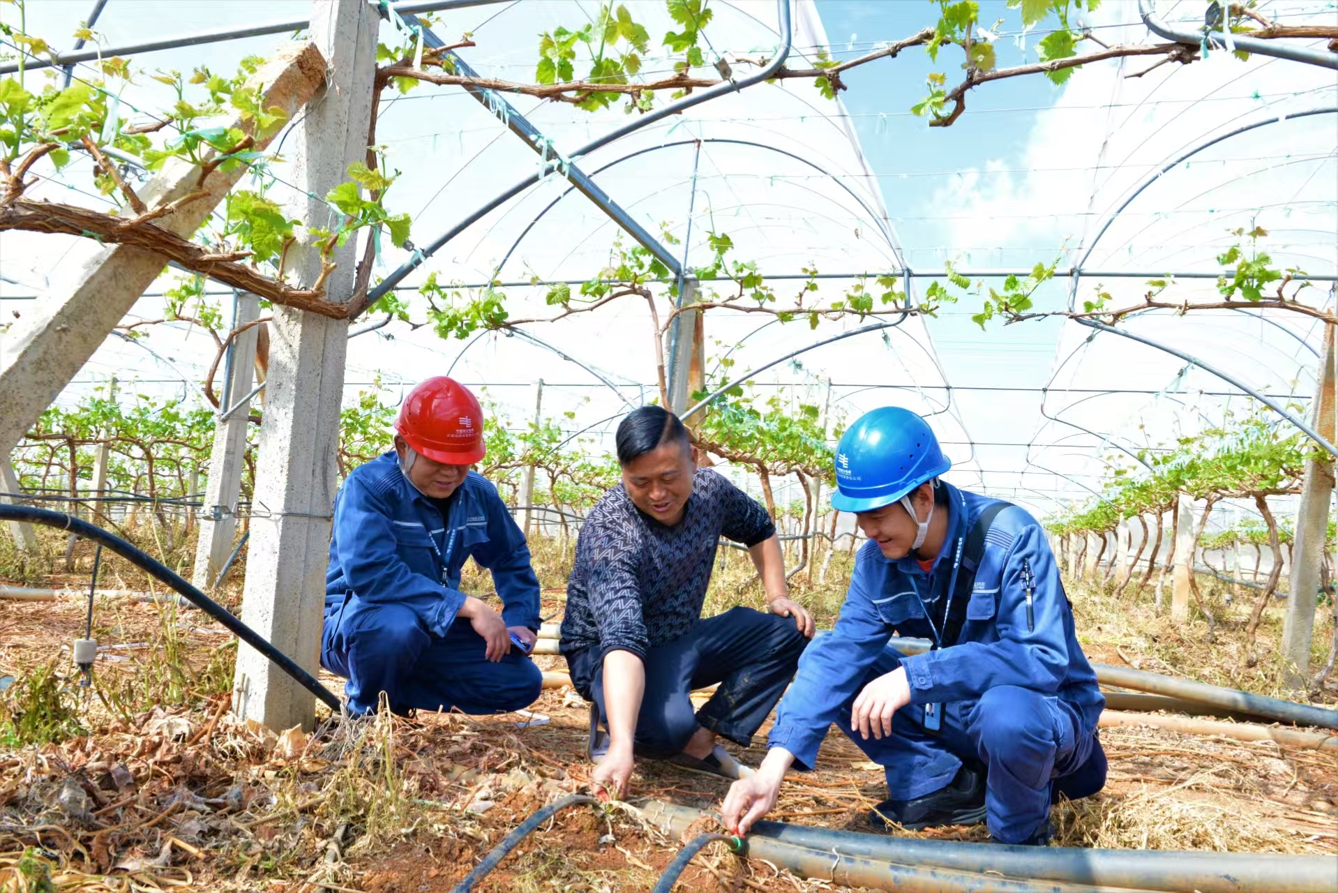 1774860473343655.jpg 1947c314badf4791e632116db163f0e0.jpg