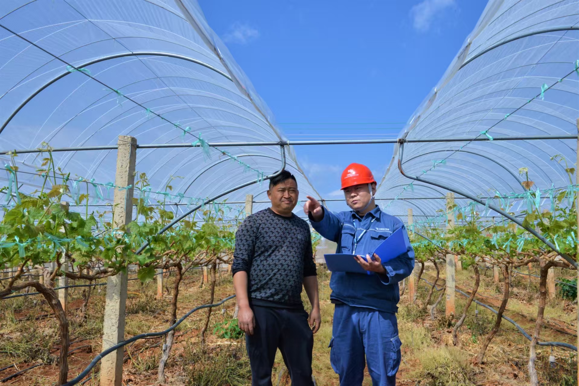 1774860506195757.jpg fe91113509886217226c88d8aa33be00.jpg