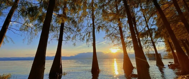 大理州负氧离子浓度、环境空气质量及洱海指数情况