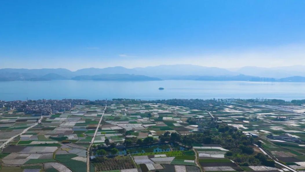 大理梦想家 | 河南小伙的大理一块田