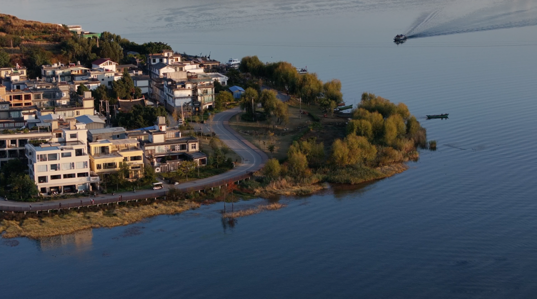 一朵花、一尾鱼、一滴水……一个个洱海生态与民生共赢的故事