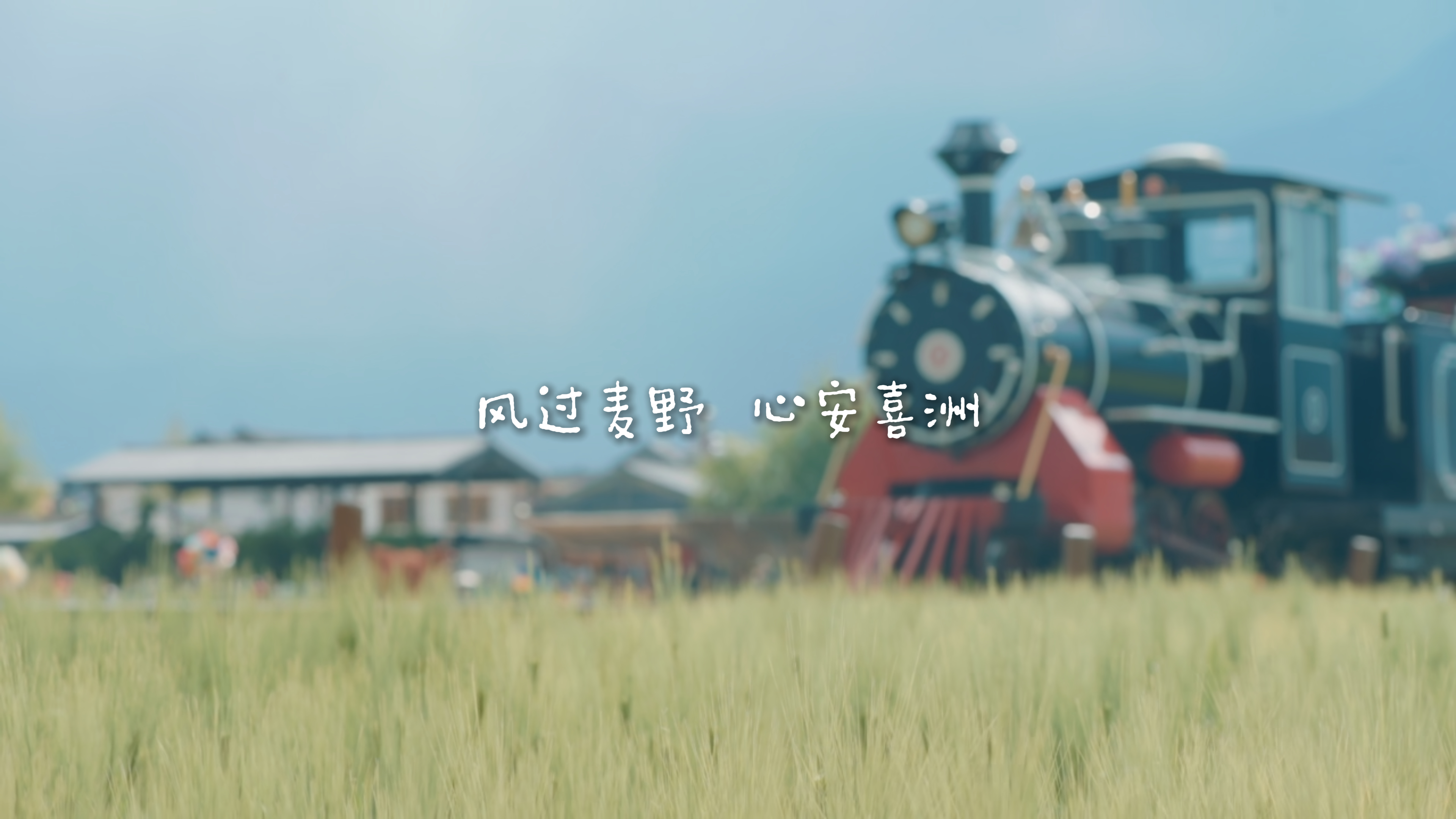 #在大理爱上生活 风过麦野  心安喜洲 #这里是大理 #人类心灵栖居地大理