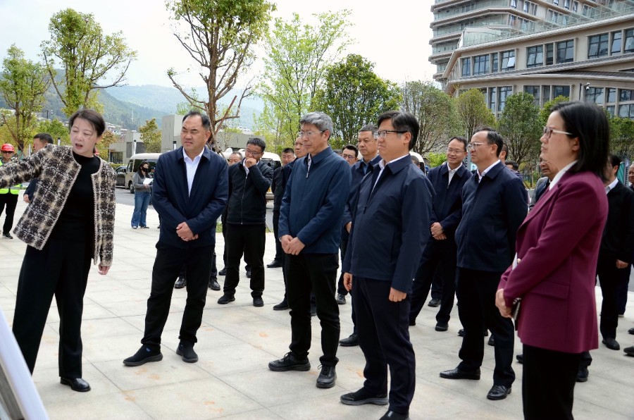 4月1日下午，与会人员到大理市人民南路现场观摩南市区排水防涝设施完善工程建设情况。_proc_副本.jpg