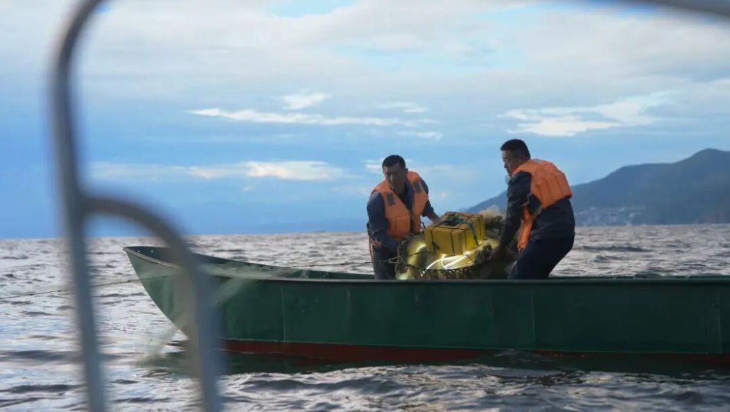 一朵花、一尾鱼、一滴水……一个个洱海生态与民生共赢的故事