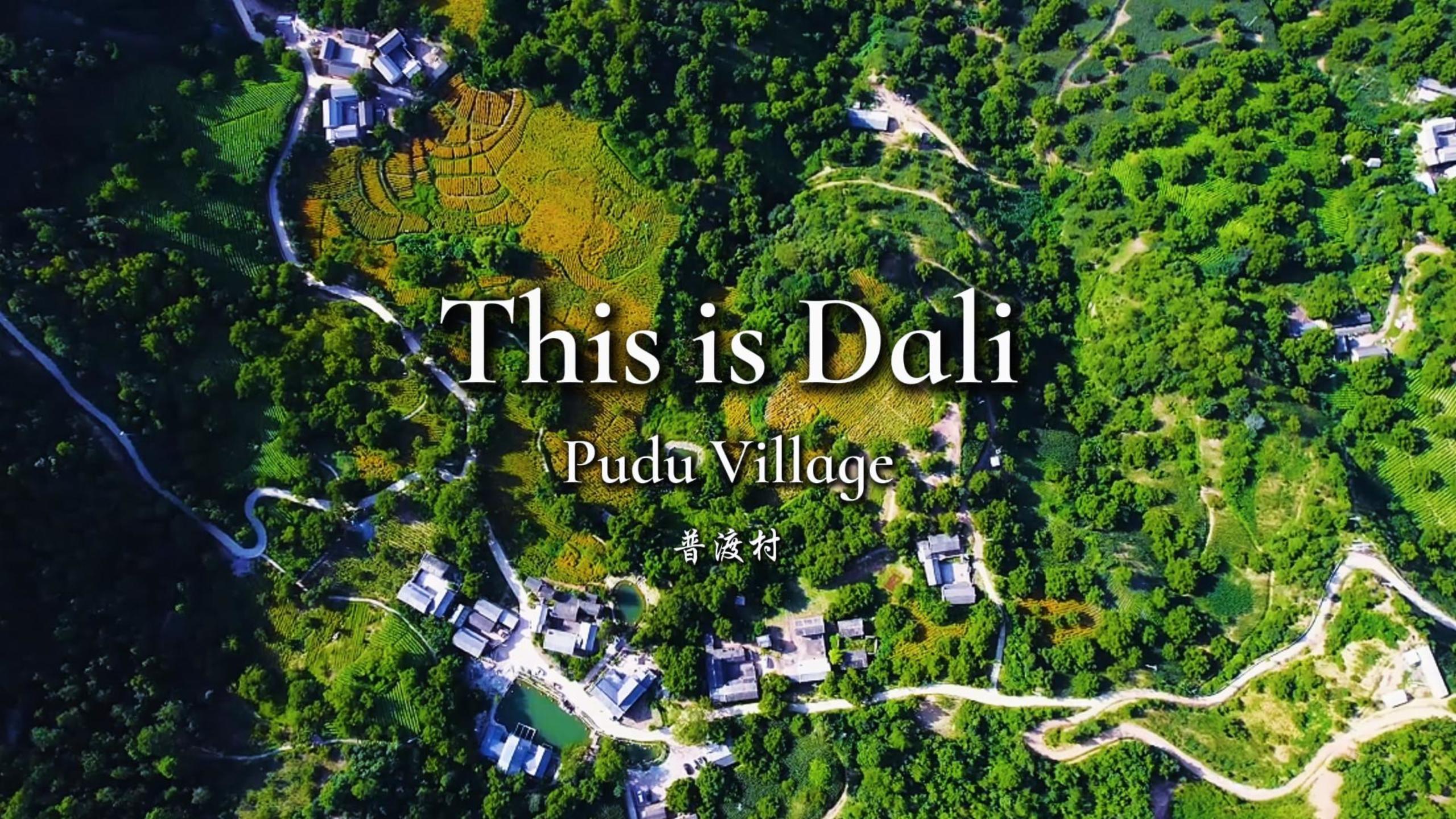 #ThisisDali  普渡：核桃千年 乡愁满寨  #这里是大理 #人类心灵栖居地大理