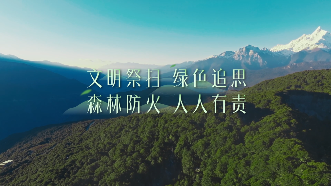 文明祭扫 绿色追思 森林防火 人人有责 #清明 #清明节 #文明祭扫 #森林防火