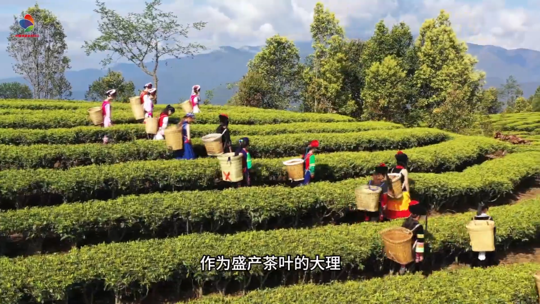 大理三道茶之苦茶