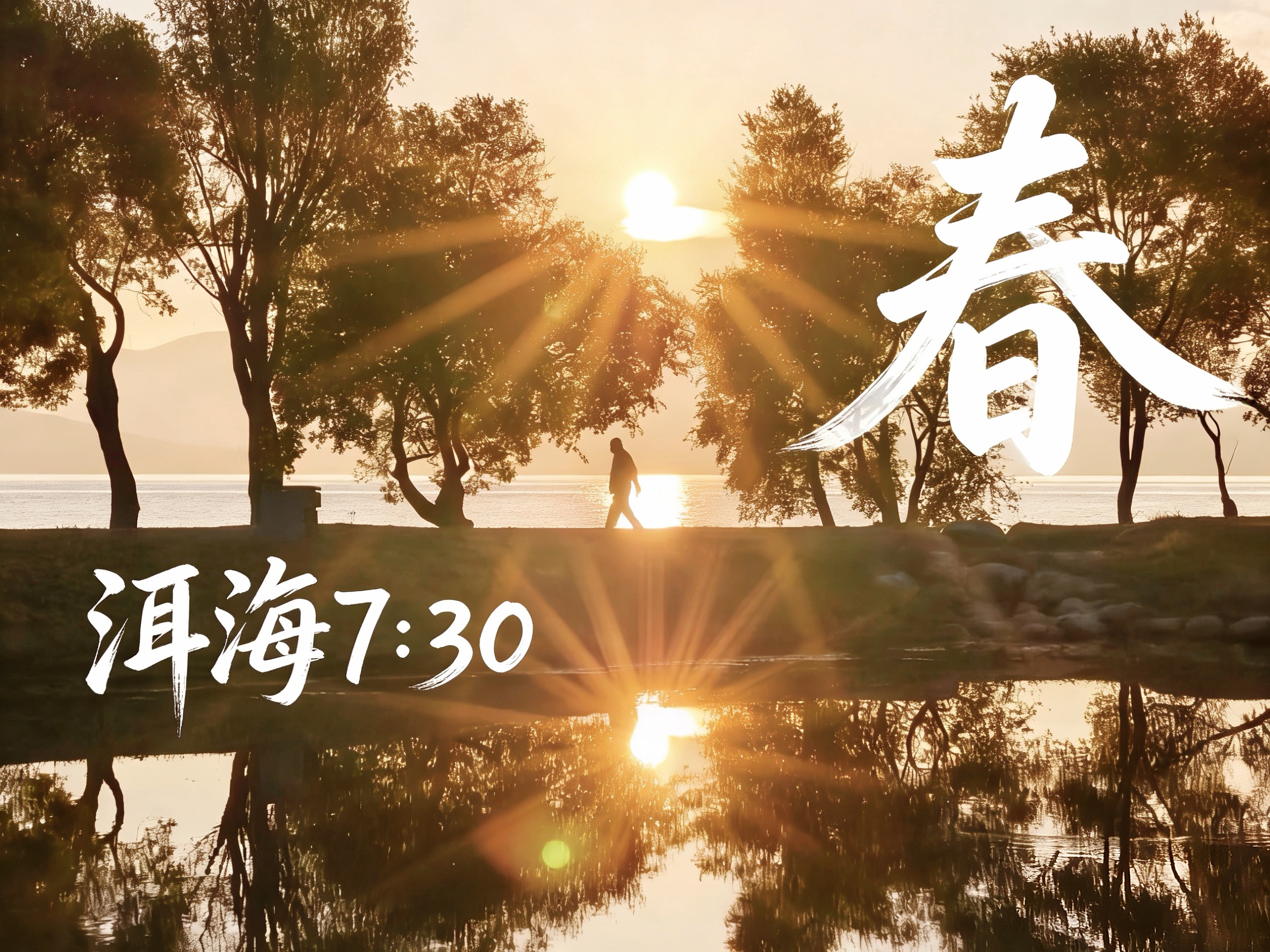 《春·洱海7:30》之八：柳绿鱼肥，山明水净，洱海处处扬春讯。大自然赠与大理的不只是美#春·洱海7:30 #在大理爱上生活