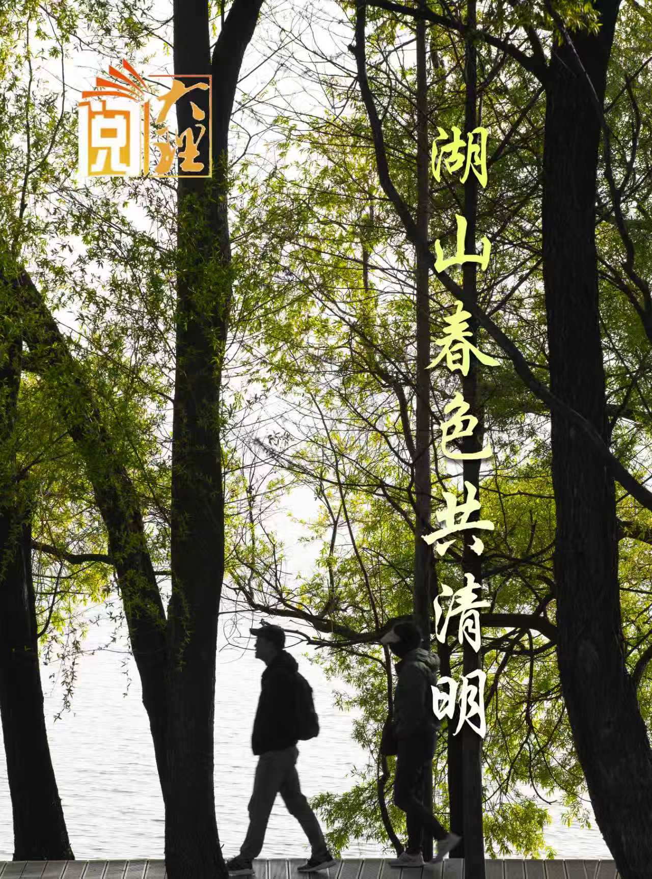 #在大理爱上生活 湖山春色共清明 #这里是大理 #旅居大理品味乡愁  #阅读大理