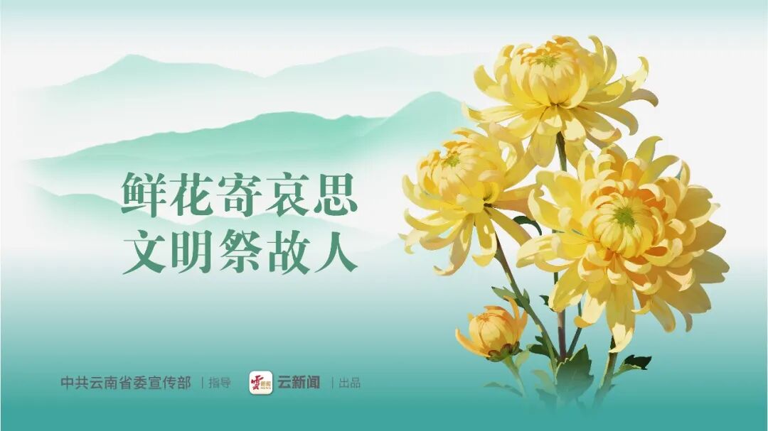 2026年大理州文明祭扫平安清明倡议书