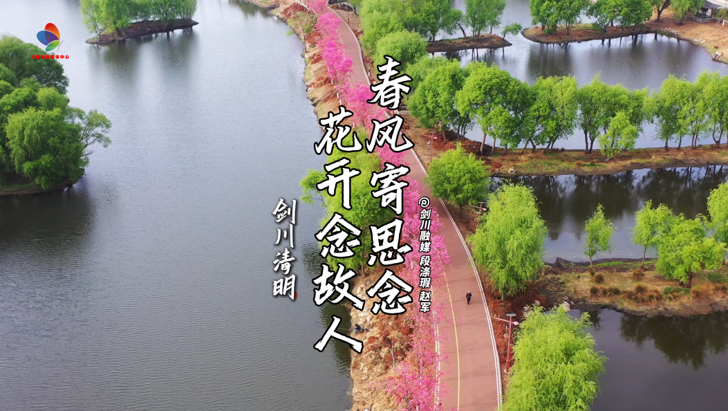 剑川清明：春风寄思念，花开念故人 #剑川 #清明 #追思故人 #缅怀